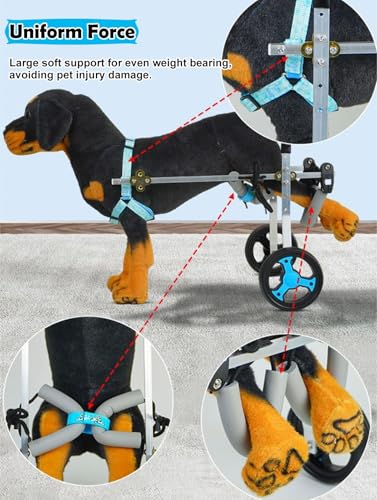 Fauteuil roulant pour chiens à deux roues stabilité des hanches
