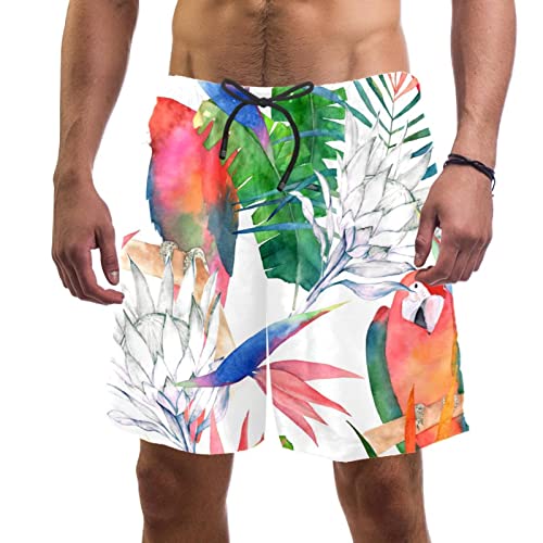 Maillots de bain pour hommes JDEZ short de plage perroquets séchage rapide léger