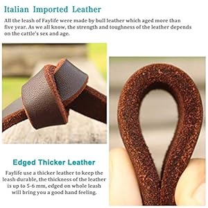 FAIRWIN-Leather-Dog-Leash-6ft-Braided-Leather-Leash-Dog-Training-Heavy-Duty-Soft-and-Comfortable-Dog-Leash-for-Large-Medium-Small-Dogs-Running-and-Walking - Cucciolini Doodles   FAIRWIN-Leather-Dog-Leash-6ft-Braided-Leather-Leash-Dog-Training-Heavy-Duty-Soft-and-Comfortable-Dog-Leash-for-Large-Medium-Small-Dogs-Running-and-Walking
