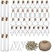 50 Stück Mini Glasflaschen Mit Korken, Klein Gläser Mini Bottle Set, Kleine Fläschchen Reagenzglas Gewürzgläser Glasbehälter Mit Korken Und Schnur Für Hochzeit Party Düfte Sand DIY Dekoration (Stil A)