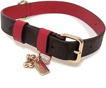 51Qif5sSqbL._AC_UF350,