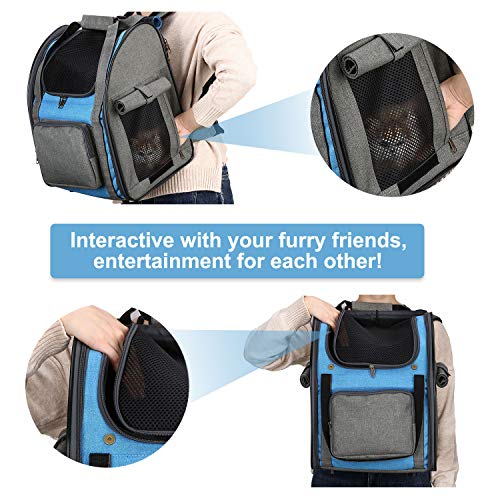 HAPPY HACHI Tragbare Haustier Tragetasche Atmungsaktiv Katze Rucksack für Reise Outdoor mit Verstellbare Gepolsterte Schulterriemen für Hunde Katze kleine Tiere - Image 5