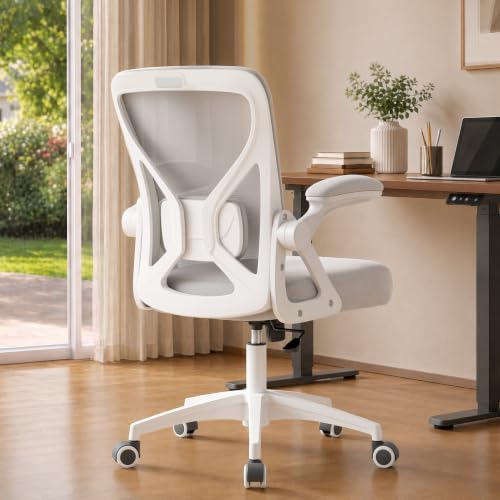 best ergonomic chair worth it product image