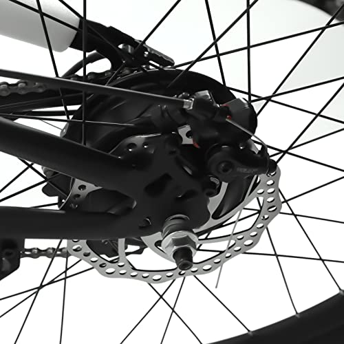 WUPYI2018 E-bike 26 inch E-mountainbike met 10 Ah-36 V accu, 250 W motor, 25 km/u en 21 versnellingen, e-fiets… - Afbeelding 5