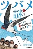 ツバメの謎: ツバメの繁殖行動は進化する!?