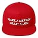 Hogue WS LLC Make A Merkin Great Again Hat (Flat Bill) Red