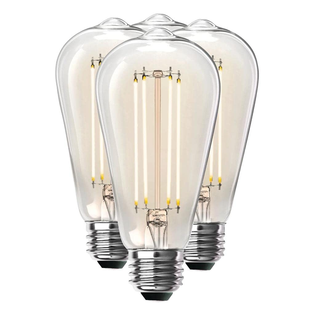Feit Electric 18573 - ST19100CL/927CA/4 Edison Style Antique