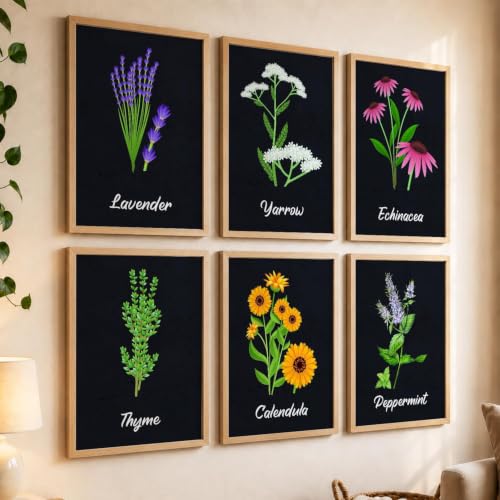 Image of kotart Boho Theme Digital Painting for Wall Decoration - Minimal Wall Art Prints for Living Room Bedroom Office Room Decor (10x13 inch, Terracotta) (wall painting, 01) (E, 19X25 INCH)