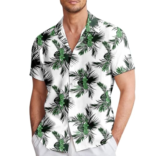 Lot polo club tee de golf avec chemises homme manche courte business