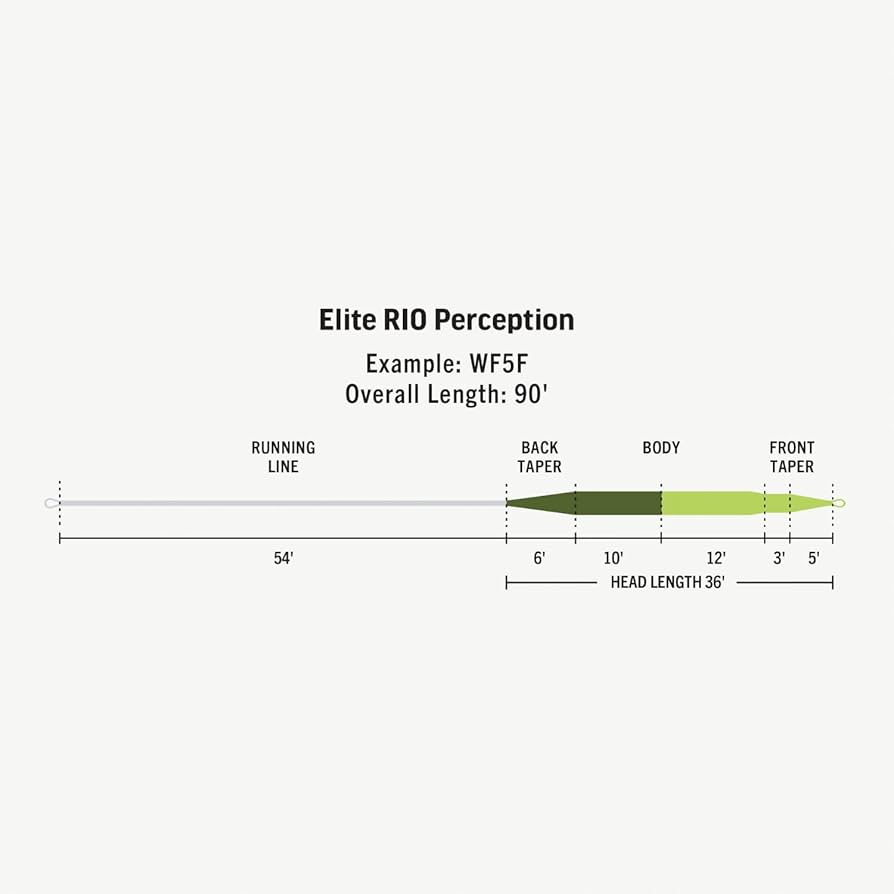 リオ　Rio　エリートパーセプション　Elite Perception　WF6F Elite RIO Perception | 特価品を探す | WALTON'S INC