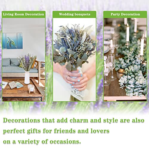 Dried Eucalyptus Stems & Lavender Mix Shower Bundle- Natural Real Fresh Eucalyptus Plant For Shower Spa Home Office Decor Photo Props-Natural Fragrance #TOP5