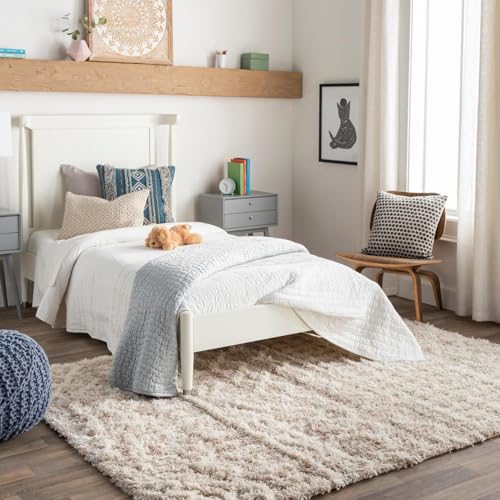 Livabliss Hapsburg Moroccan Shag Area Rug, 8'10' x...