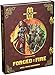 Arcane Wonders ARWTX2FF Kartenspiel Forged in Fire Spell Tome Expansion