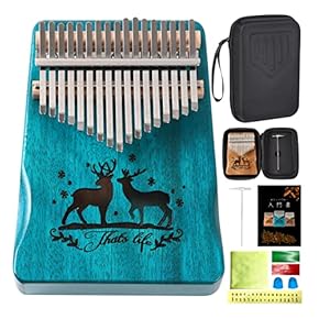 カリンバ楽器インドヨガジャンベ作家もの Amazon.co.jp 人気ギフトランキング: パーカッション・打楽器 で