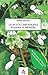 La pulce che voleva vedere il mondo (Il Regno delle Pulci) (Italian Edition)