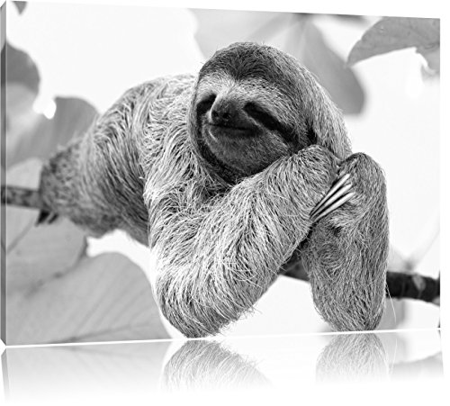 Never Back Down 2 Ganzer Film Deutsch