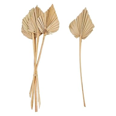 SPHINX Natural Dried Palm Leaf Sticks - Boho Theme Décor, Dried Flora for Ceramic Vases, Home Decoration, Craft & Bouquet Making Supplies (Natural color, Small Spear shape, 5 Pcs)