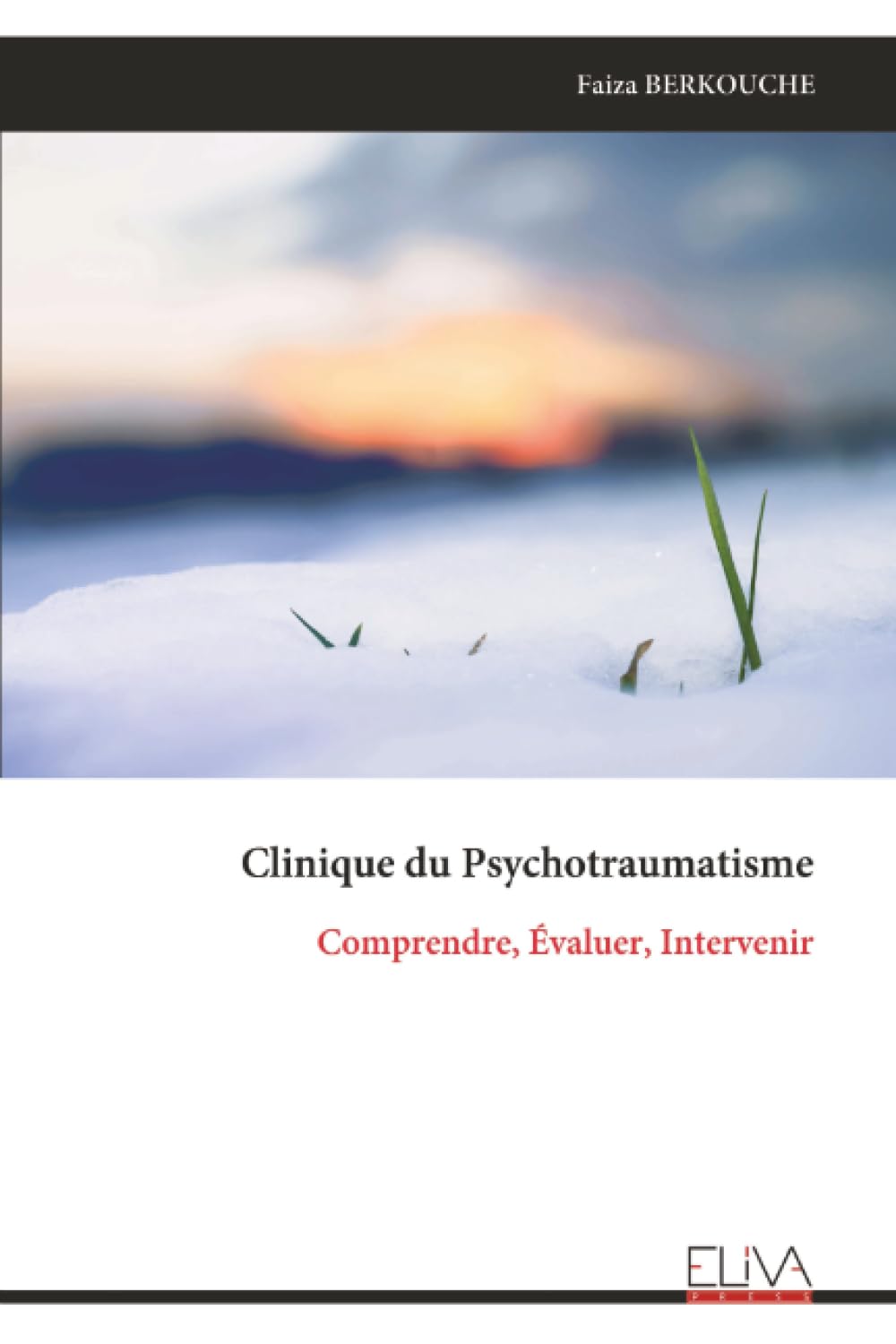 Clinique du Psychotraumatisme: Comprendre, Évaluer, Intervenir