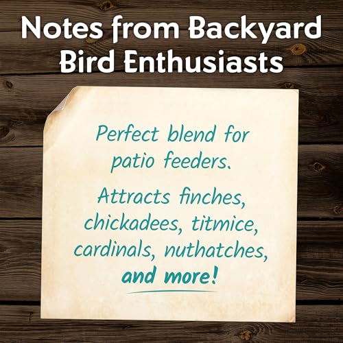 Morning Song Clean & Free No Mess Wild Bird Seed – 12 lb. Shell-Free Bird Food Blend with Sunflower Chips, Peanuts & Canary Seed – No Waste Bird Food for Outside Feeders - Image 4