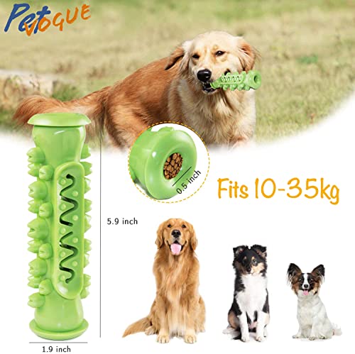 Image of PetVogue Dog Toothbrush Toy, Chew Toy for Small Medium Dogs, Teeth Cleaning Dental Care Natural Rubber Tough Durable, Dog Chew Toys, Toys for Small Medium and Large Dogs