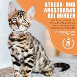 Beruhigendes Halsband für Katzen, Pheromon-Katzenhalsband, zur Linderung von Angst und Stress, verstellbar, wasserabweisend, beruhigende Halsbänder, 6 Stück (grau)
