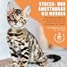 Beruhigendes Halsband für Katzen, Pheromon-Katzenhalsband, zur Linderung von Angst und Stress, verstellbar, wasserabweisend, beruhigende Halsbänder, 6 Stück (grau)