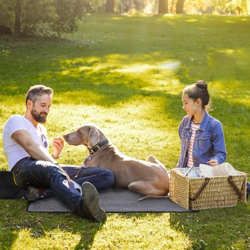 Faltbare Outdoor Hundematte, 100 x 70 cm Faltbare Haustierdecke, Hundedecke, wasserdichte Haustier Decke, Hund Katze Mat, rutschfest Hundepolster,Für Katzen,Hunde,Welpen, Schwarz