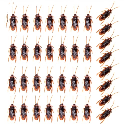 Preescolar, Toy Imagen adicional