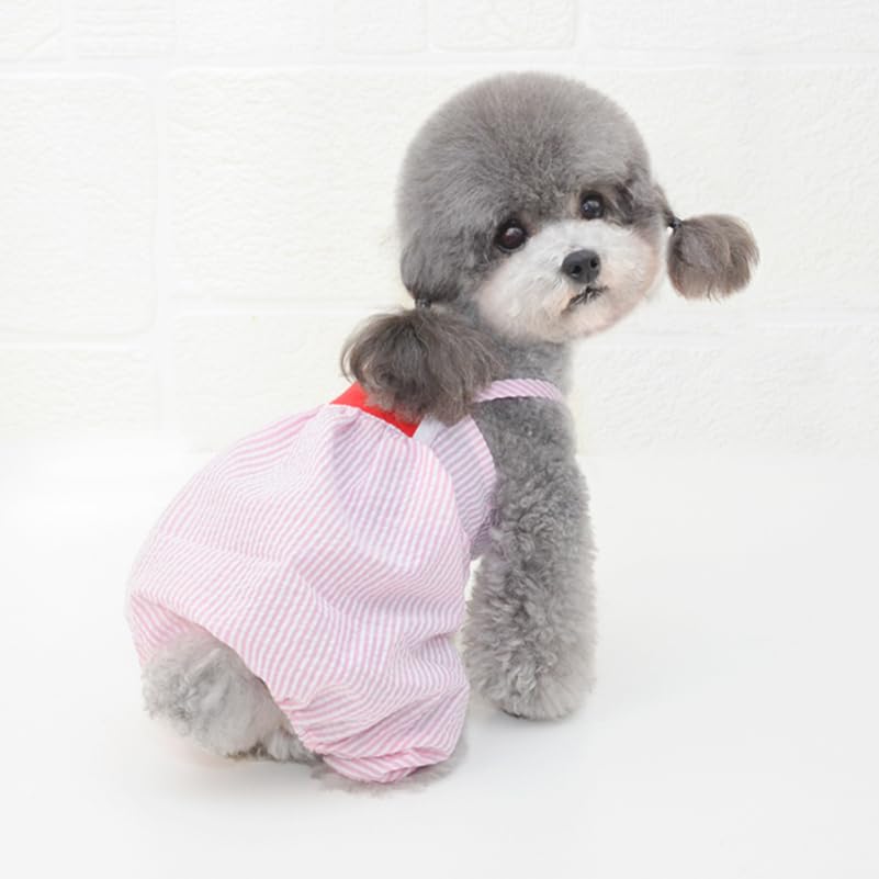 Pantalones disfraz para perro talla M rayas sandía miniatura 3