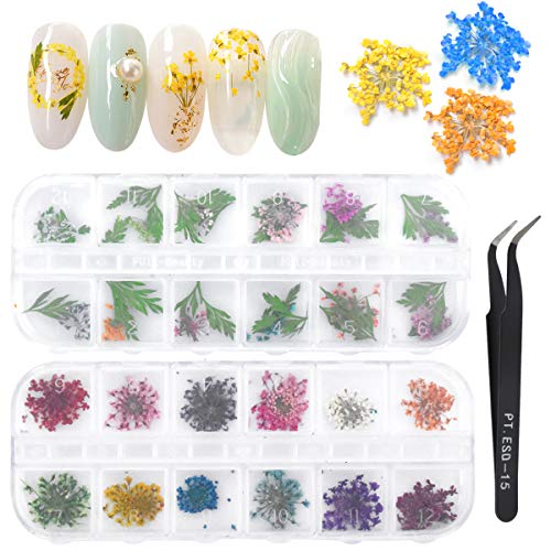 Dokpav 2 Schachteln Getrocknete Blumen für Nailart, 24PCS Getrocknete Blumen Grüne Blätter Set Nagelapplikation 3D Nail…