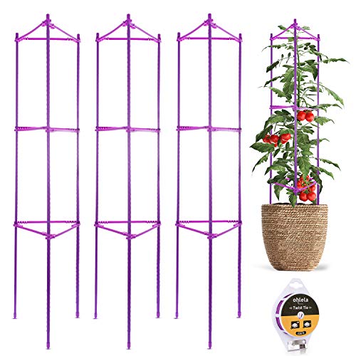 Our Top 15 Best tomato cages for containers Reviews 2023