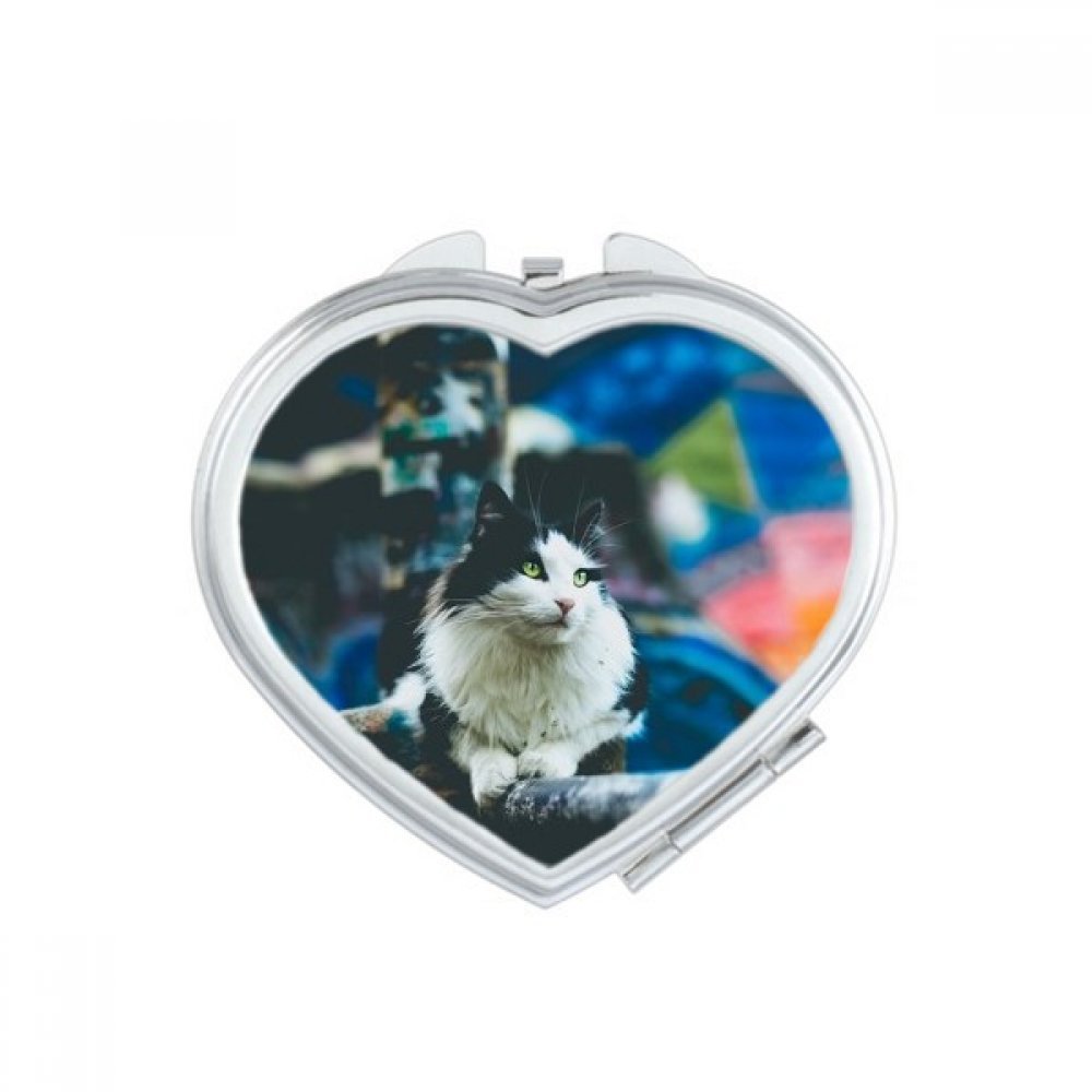 Miroir portable chat bleu, miroir compact de maquillage fait main mignon