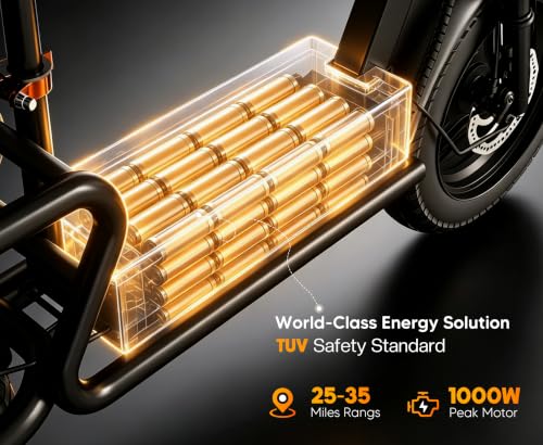 Fweork Electric Scooter with Seat