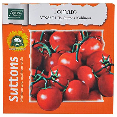 Tomato F1 Hy Suttons KohinoorVT983200SeedsIn Set Of 2 Amazon.in