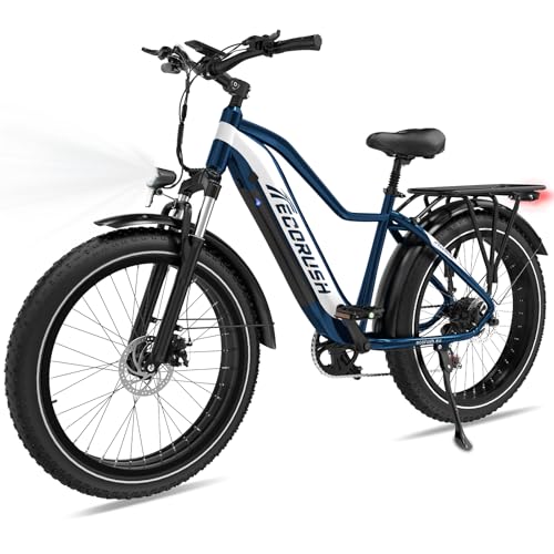ECORUSH Eco R1 Bicicleta eléctrica, E-Bike con neumáticos Anchos ...
