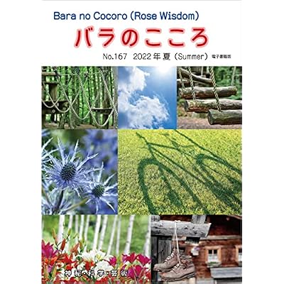 Barano Cocoro
