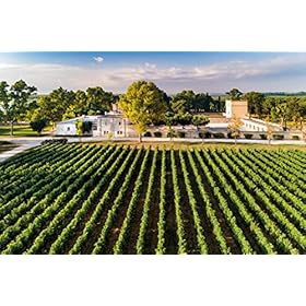 Masseria Altemura Petravia Aglianico - Italian Still Red Wine from the Apulia Region, Italy - 100% Aglianico Grapes - 75cl / 750ml, 14% ABV – MASSERIA ALTEMURA
