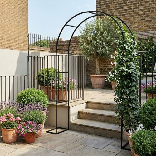 Arche de jardin en métal noir au design épuré pour une décoration extérieure