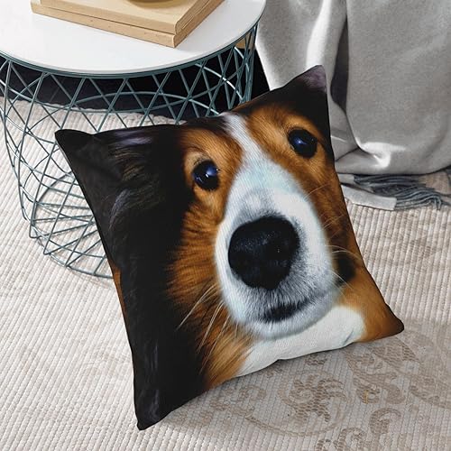 Housse de coussin velours côtelé imprimé chien Shetland 50,8 cm