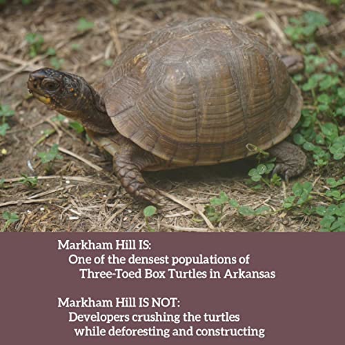 Markham Hill Plans Won't Help the Turtles Podcast Por  arte de portada