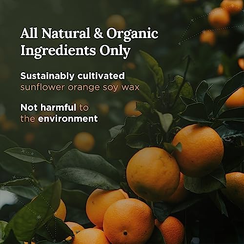 Magnificent 101 Long Lasting Leo Zodiac Candle | 6 Oz - 35 Hour Burn | All Natural & Organic ‎‎Sunflower Orange Scented Soy Wax Candle | Harness The Power Of Astrological Signs To Find Your Strength #TOP2