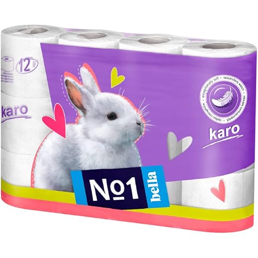 Karo White Toilet Tissue Roll - 12 Rolls