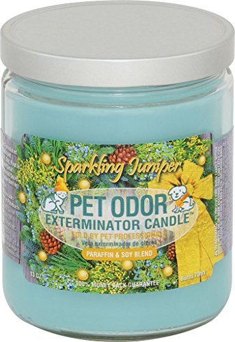 0 Pet Odor Exterminator Candle Sparkling Juniper 13oz