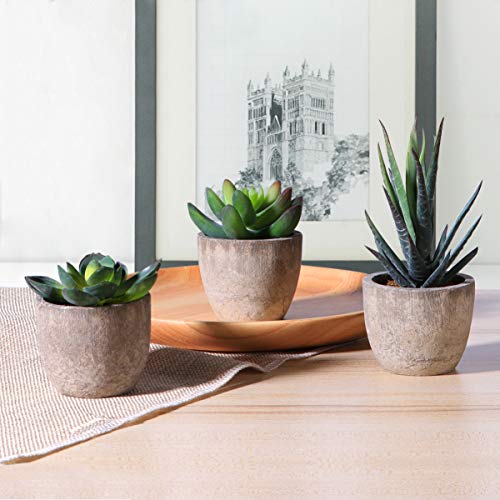 PRETYZOOM Plantas artificiais suculentas com vasos, flores artificiais, cacto, plantas suculentas, d