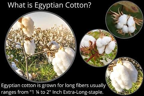 Miniatura 5 de Nile Bedding Collection - Juego de sábanas de hotel de algodón egipcio de 210 hilos para cama estándar de 8 a 15 pulgadas de profundidad de