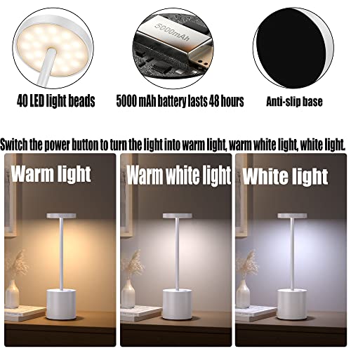 2Pack Cordless Table Lamp, Rechargeable Battery 5000Mah Metal Aluminum Housing Usb Led Portable Powered Desk Lamp, 3 Levels Brightness Night Light For Restaurants Bars Outdoor (2 Pack-10.25In-White) #TOP2