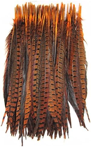 KOLIGHT Set of 10pcs Natural Dyed Pheasant Tails Feathers 12-14 Inch DIY Decoration (Orange)