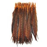 KOLIGHT Set of 10pcs Natural Dyed Pheasant Tails Feathers 12-14 Inch DIY Decoration (Orange)