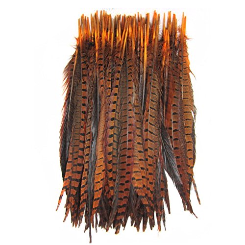 Kolight Set Of 10Pcs Natural Dyed Pheasant Tails Feathers 12-14 Inch Diy Decoration (Orange) #TOP14