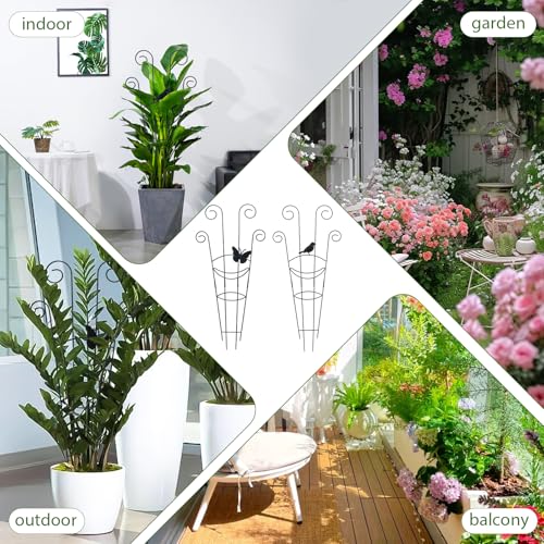 Image of ZOUTOG Trellis for Climbing Plants Indoor 4 Pack 30 Inch,Rustproof Metal Garden Trellis for Potted Plants,Houseplant Support Indoor Outdoor for Ivy Pothos Monstera Hoya Flower Vines(Butterfly Shape)